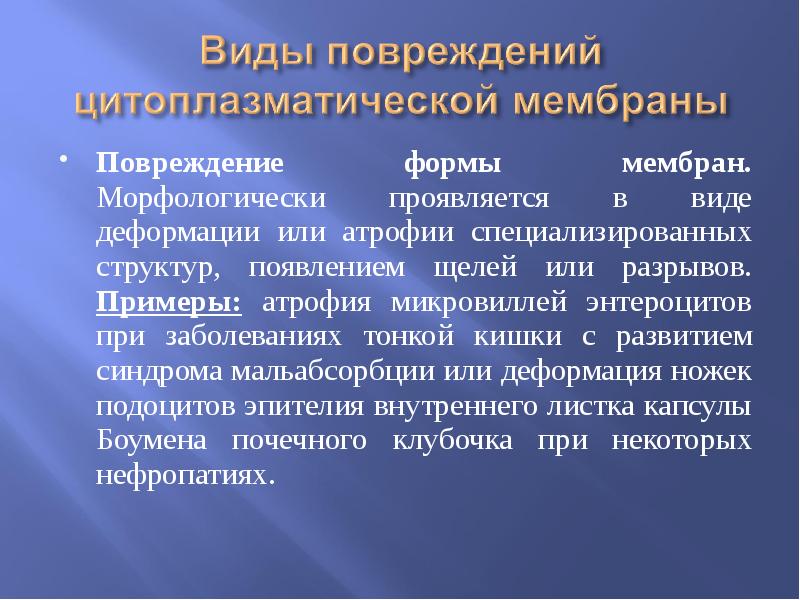 лизосомальные ферменты воспаления. иммунное повреждение мембран. повреждение мембран и ферментов кардиомиоцитов. механизмы повреждения клеточных мембран и ферментов клетки. механизмы повреждения клеточных мембран и ферментов клетки.