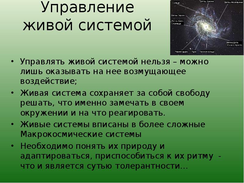 Биоэтика презентация эвтаназия