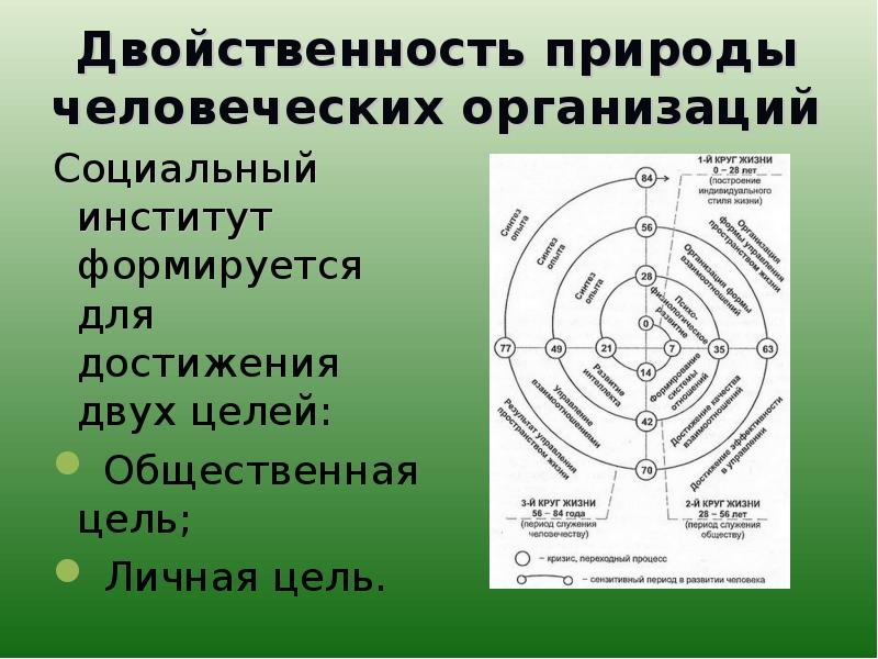 Биоэтика картинки для презентации