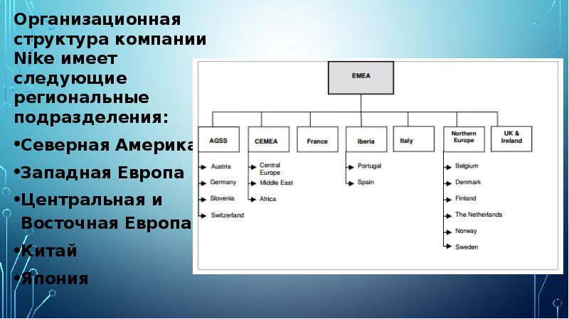 Корпорация состав. Организационная структура предприятия найк. Организационная структура Nike. Организационная структура компании Nike схема. Организационная структура управления Nike.