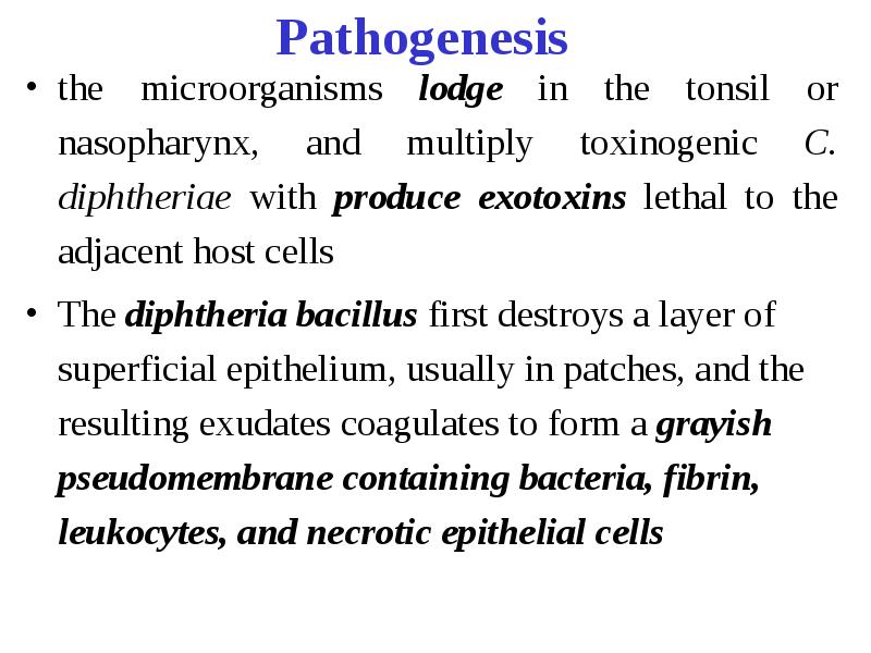 The diseases with tonsilitis. Diphtheria and infectious mononucleosis/