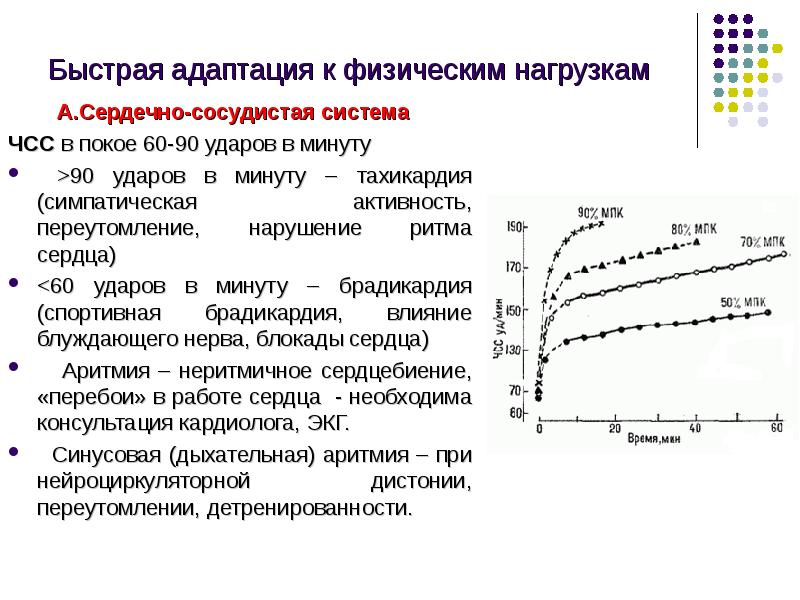 Влияние нагрузки на частоту сердечных сокращений. Механизмы адаптации сердца при физической нагрузке. Адаптация к физическим нагрузкам. Адаптация сердечно-сосудистой системы к физическим нагрузкам. Адаптационные возможности сердечно-сосудистой системы.