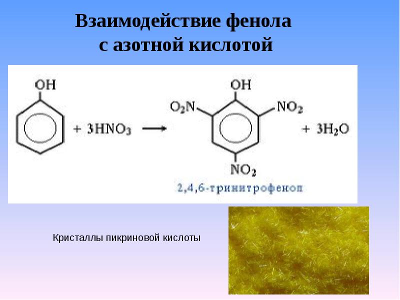 Фенольные соединения презентация