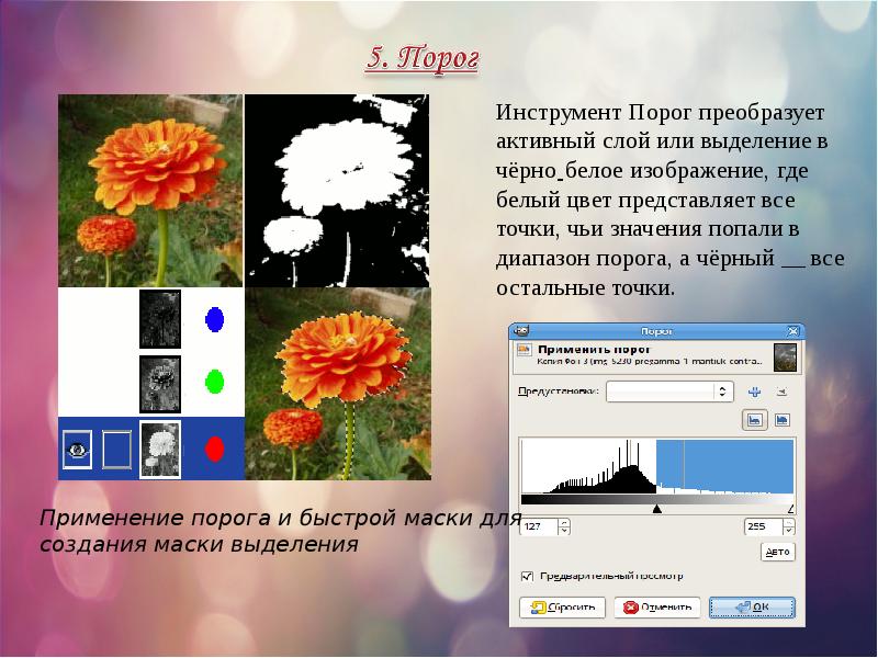 Презентация по теме gimp