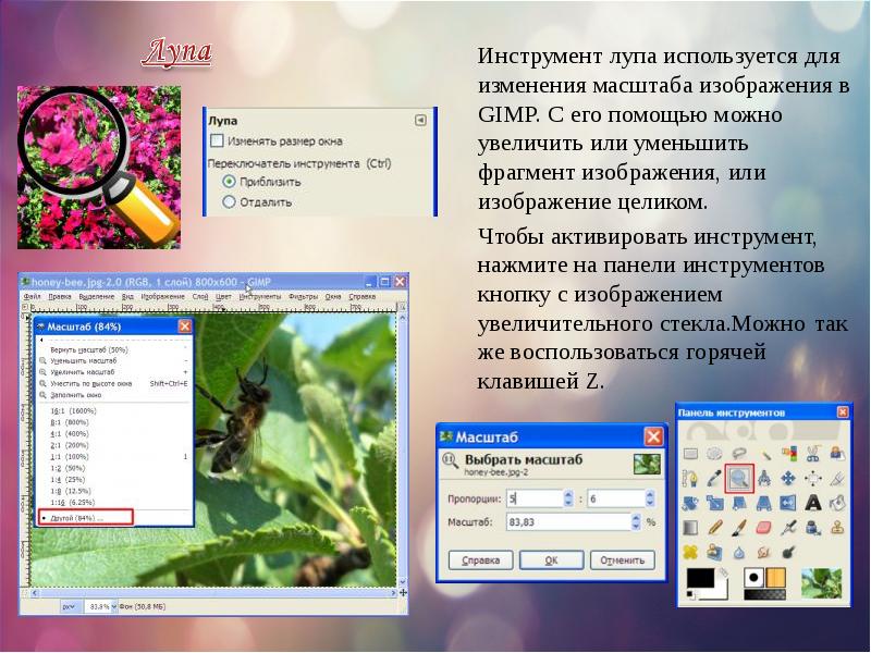 Презентация по теме gimp