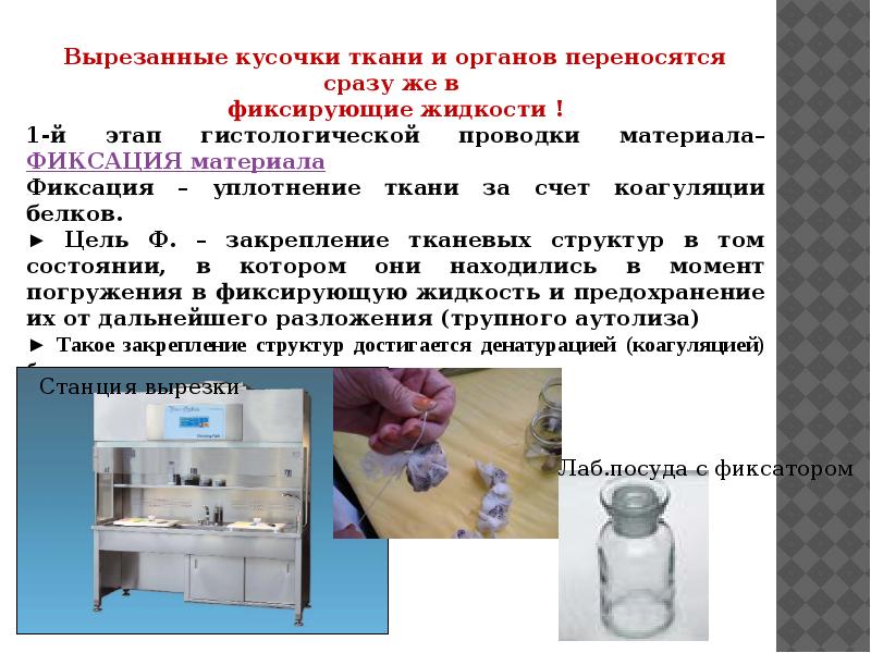 Презентация исследование 10 класс