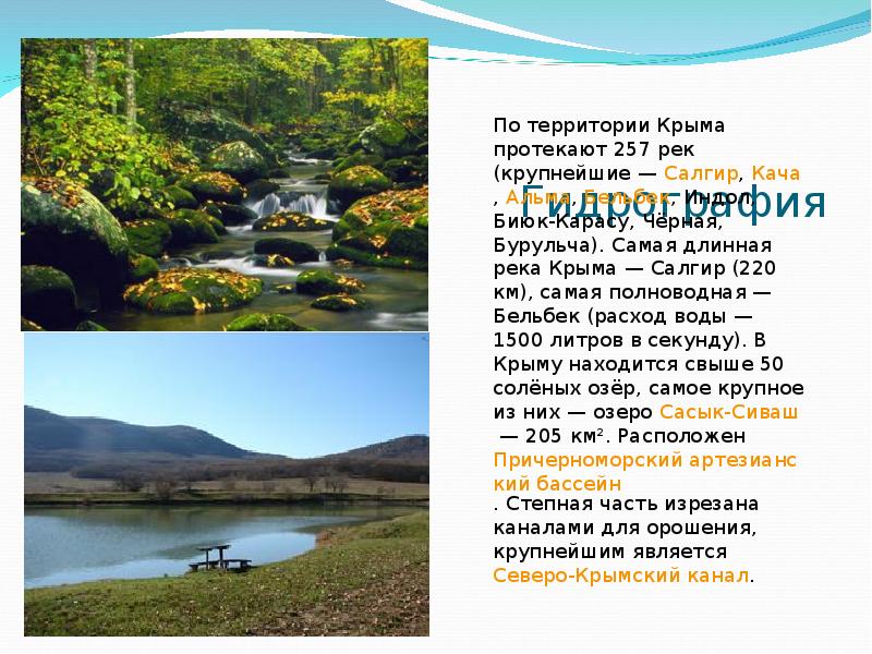 Река салгир гвардейское. Река салгир в крыму. Как салгир изменяется в разные времена года. Растения реки салгир в крыму. Реки крыма проект.