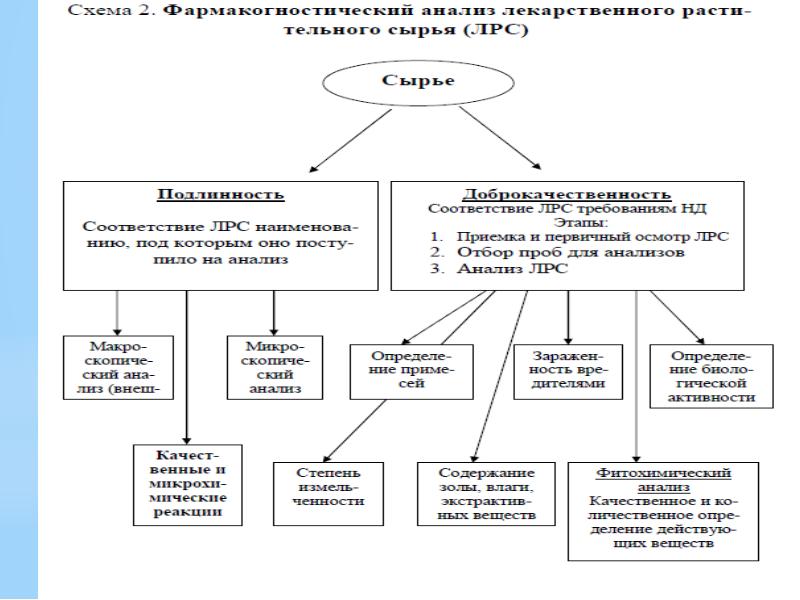 Схема товароведческого анализа медицинских изделий