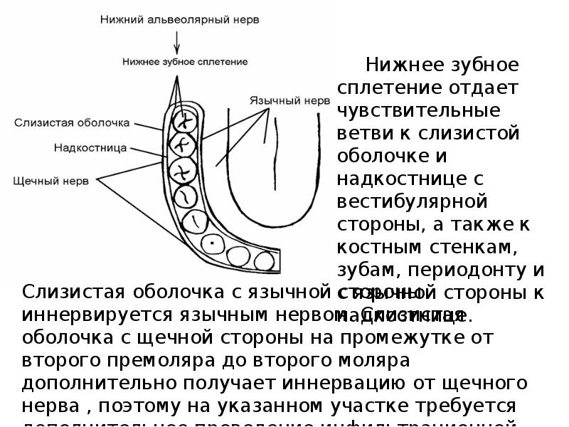 Экзостоз верхней челюсти фото