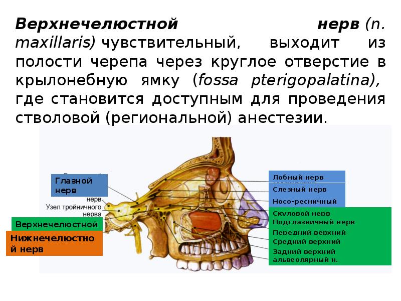 Крылонебная ямка сообщается