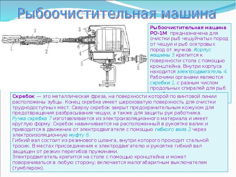 Назовите основные части машины пользуясь схемой рыбоочистительные машины