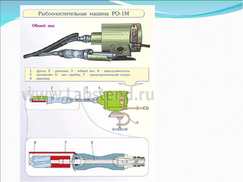 Рыбоочистительная машина схема