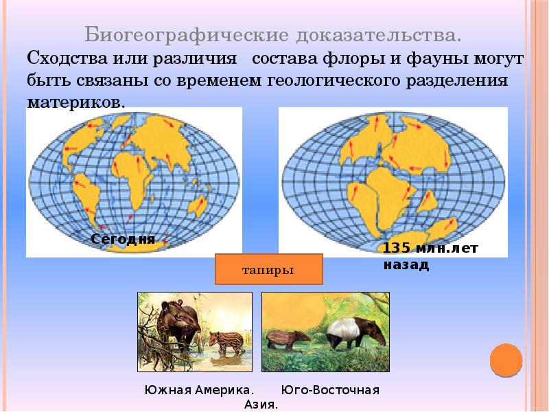 Биогеографические доказательства. Биогеографические доказательства эволюции таблица. Биографические доказательства эволюции. Доказательства доказательства биогеографические.