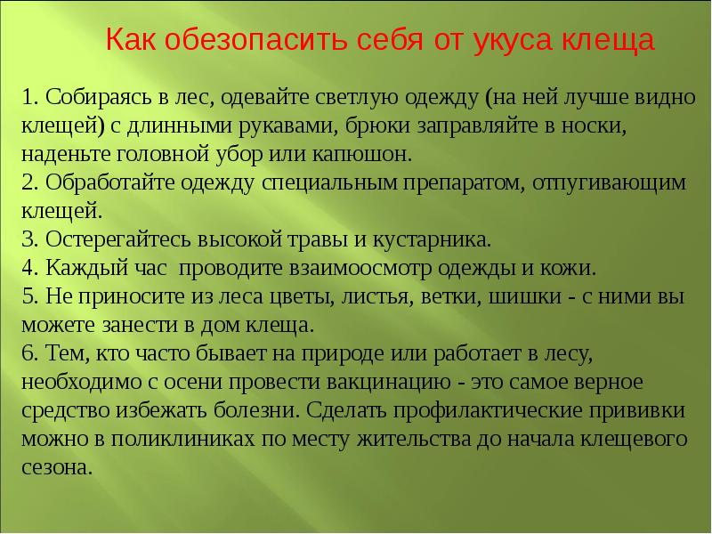 Проект подробнее о лесных опасностях по окружающему 2 класс