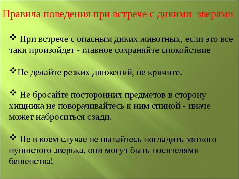 Проект на тему лесные опасности 2 класс окружающий