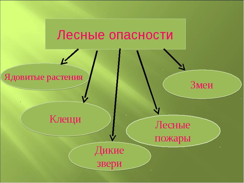 Проект лесные опасности для 2 класса