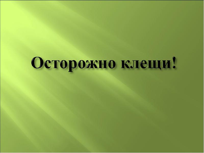 Лесные опасности 2 класс окружающий мир проект клещи