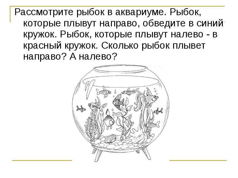 Сколько рыбок. Рыбки и аквариум задания для дошкольников. Задания математика для дошкольников аквариумы с рыбками. Задание по математике для дошкольников рыбки в аквариуме. Задание для дошкольников по математике аквариум.