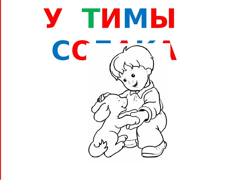 У Тимы собака