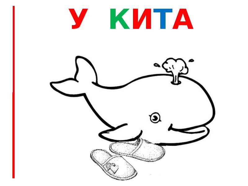 У кита тапки