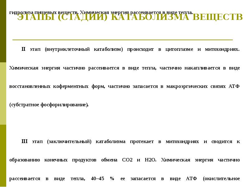 ЭТАПЫ (СТАДИИ) КАТАБОЛИЗМА ВЕЩЕСТВ