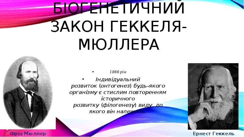 біогенетичний закон геккеля-мюллера
1866 рік
Індивідуальний розвиток (онтогенез) будь-якого організму є стислим повторенням біогенетичний закон геккеля-мюллера
1866 рік
Індивідуальний розвиток (онтогенез) будь-якого організму є стислим повторенням