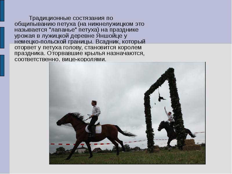 Традиционные состязания по общипыванию петуха (на нижнелужицком это называется "лапанье" петуха) Традиционные состязания по общипыванию петуха (на нижнелужицком это называется "лапанье" петуха)