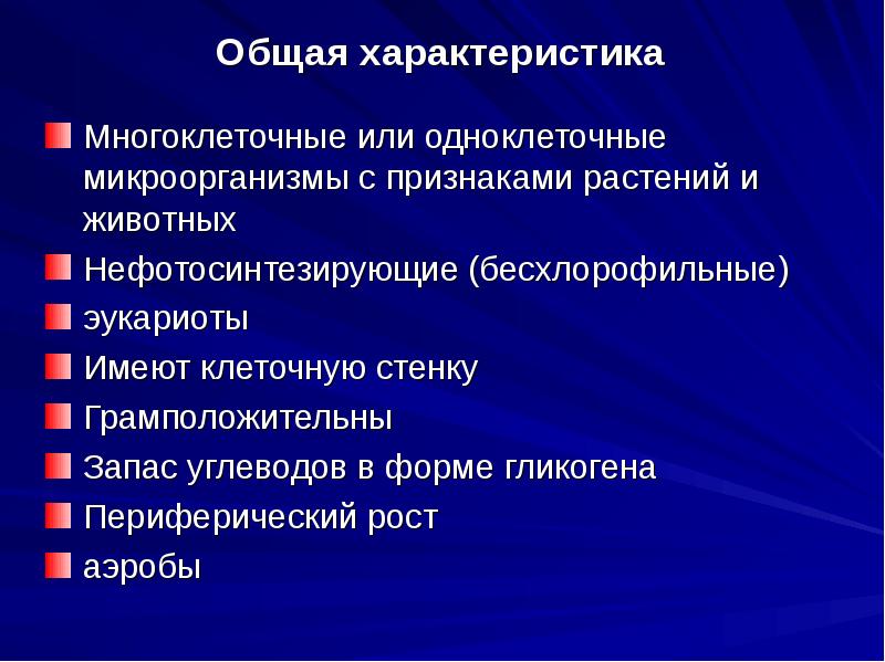 Общая характеристика
Многоклеточные или одноклеточные микроорганизмы с признаками растений и животных
Общая характеристика
Многоклеточные или одноклеточные микроорганизмы с признаками растений и животных