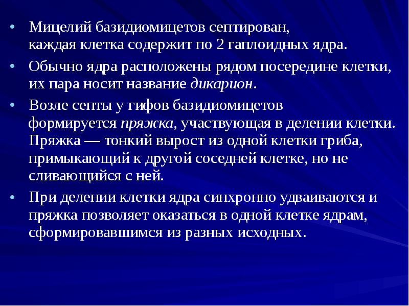 Мицелий базидиомицетов септирован, каждая клетка содержит по 2 гаплоидных ядра.
Мицелий базидиомицетов септирован, каждая клетка содержит по Мицелий базидиомицетов септирован, каждая клетка содержит по 2 гаплоидных ядра.
Мицелий базидиомицетов септирован, каждая клетка содержит по