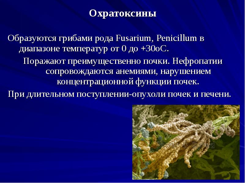 Охратоксины
Образуются грибами рода Fusarium, Penicillum в диапазоне температур от 0 Охратоксины
Образуются грибами рода Fusarium, Penicillum в диапазоне температур от 0