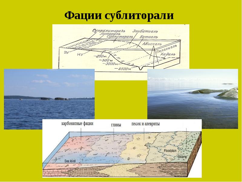 Материковая отмель 5 букв сканворд. Лагунные фации. Морские лагунные континентальные фации. Фации в геологии. Фации морских отложений.