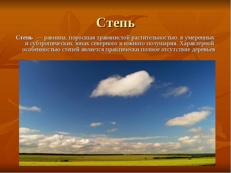 Степь
Степь — равнина, поросшая травянистой растительностью, в умеренных и субтропических Степь
Степь — равнина, поросшая травянистой растительностью, в умеренных и субтропических