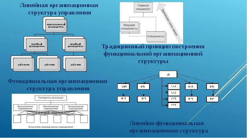 Функциональная организационная структура проекта