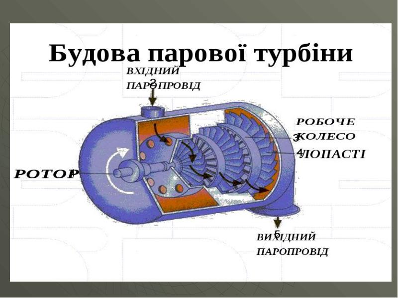 Турбина черепаший суп текст