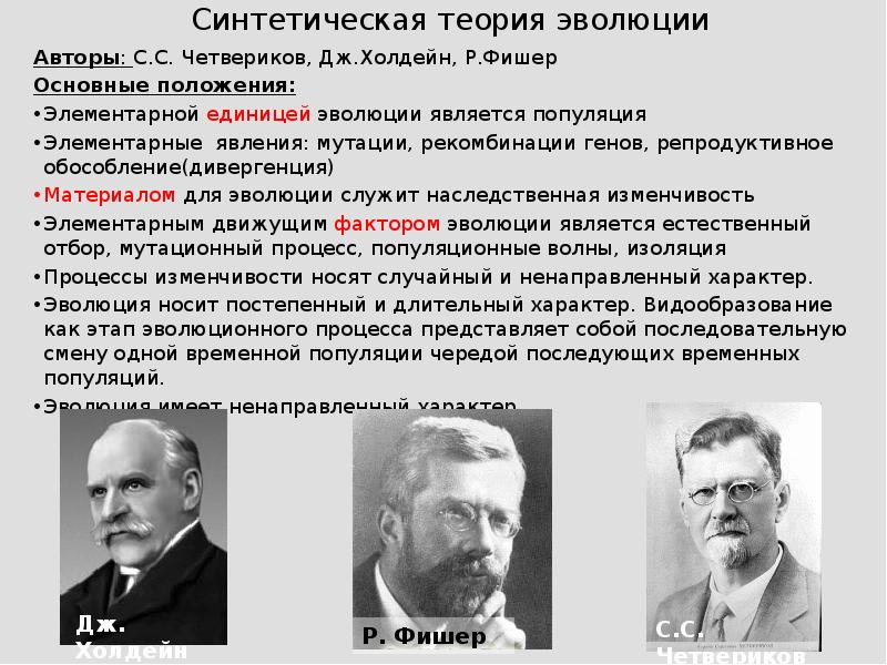 Синтетическая теория