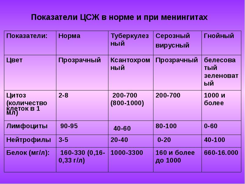 Менингококковая инфекция презентация