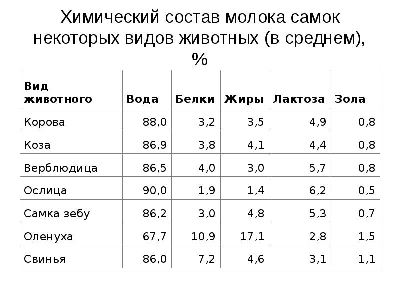 Схема химический состав молока