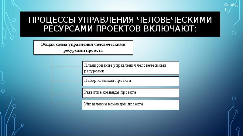 Основные проблемы управления человеческими ресурсами проекта