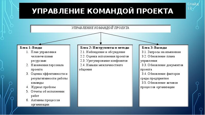 Человеческие ресурсы в проекте пример