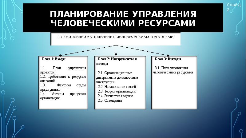 Человеческие ресурсы в проекте пример