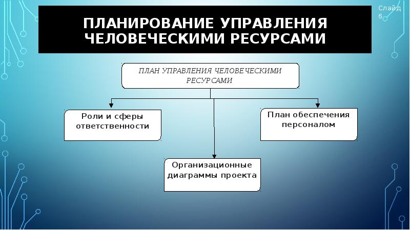 Человеческие ресурсы проекта это