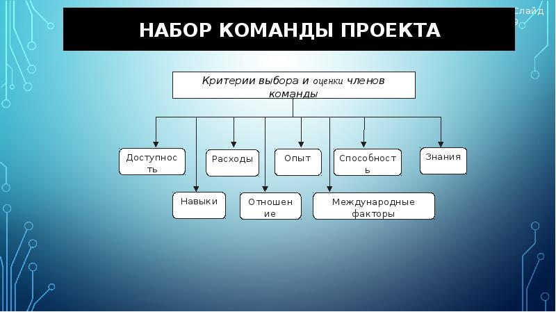 Команда проекта кто входит