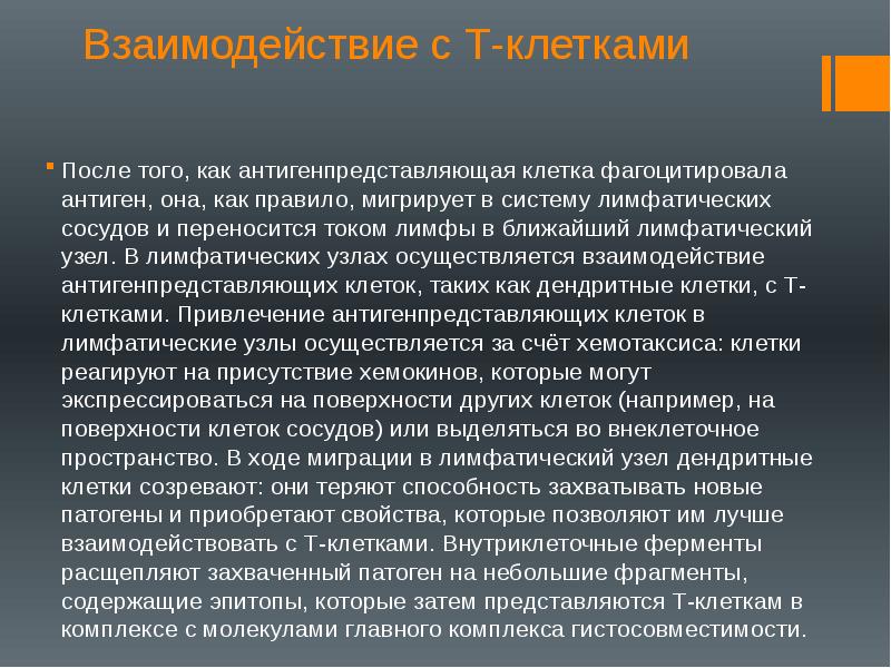 Взаимодействие с Т-клетками
После того, как антигенпредставляющая клетка фагоцитировала антиген, Взаимодействие с Т-клетками
После того, как антигенпредставляющая клетка фагоцитировала антиген,
