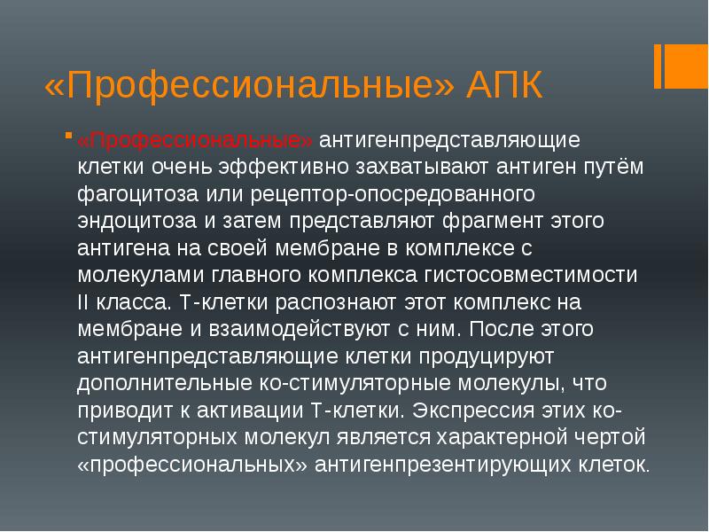 «Профессиональные» АПК
«Профессиональные» антигенпредставляющие клетки очень эффективно захватывают антиген путём фагоцитоза «Профессиональные» АПК
«Профессиональные» антигенпредставляющие клетки очень эффективно захватывают антиген путём фагоцитоза
