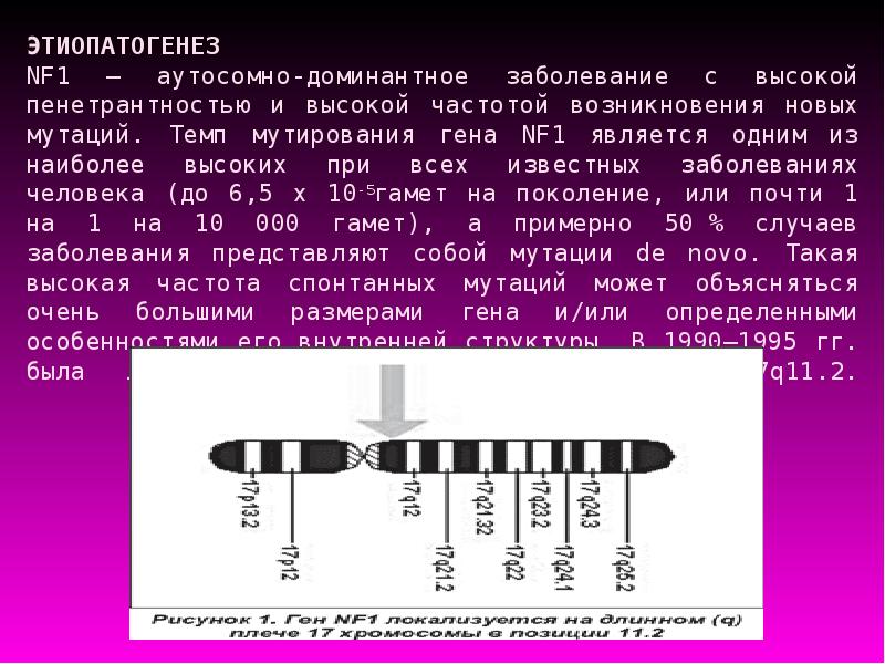 Нейрофиброматоз презентация по генетике