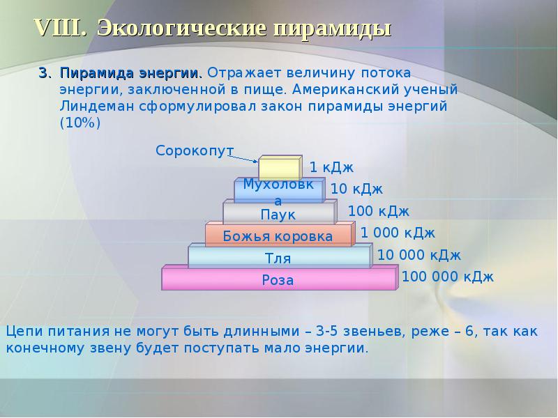 Презентация экологические пирамиды биология 11 класс