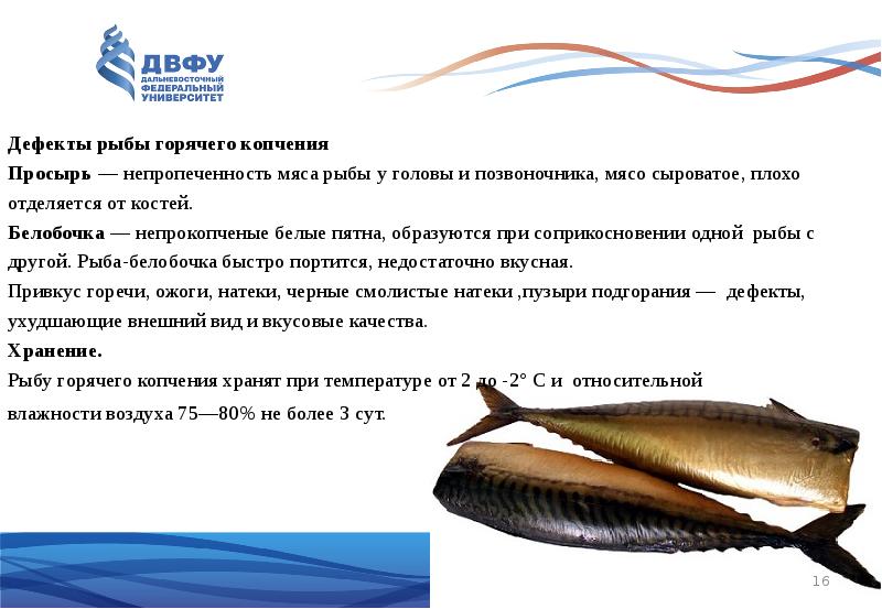 Дефекты рыбы&nbsp;горячего копчения&nbsp; Просырь — непропеченность мяса рыбы у головы и