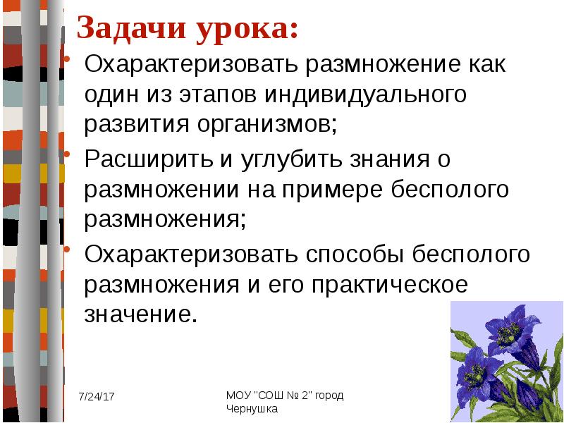 Биология практика размножения. Размножение организмов вывод. Размножение личности. Урок размножения практика. Урок размножения практика.