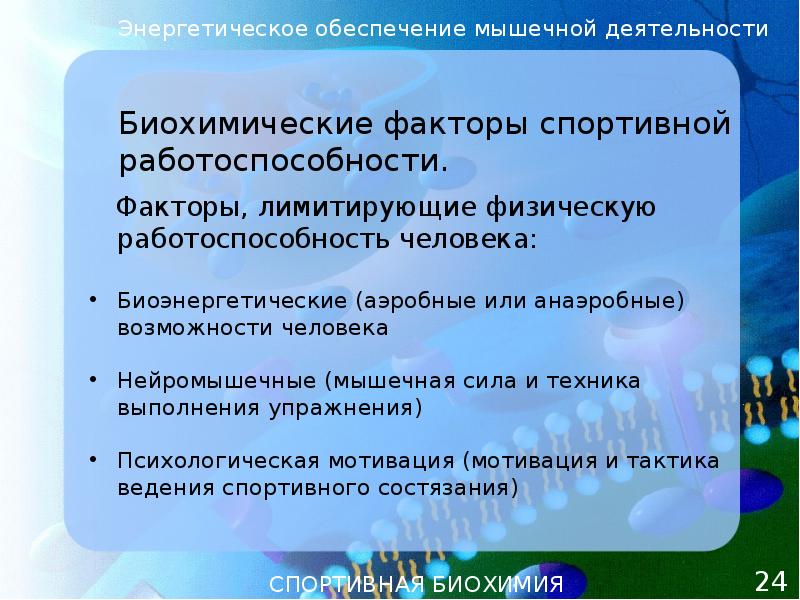 Факторы работоспособности. Биохимические факторы спортивной работоспособности. Факторы лимитирующие спортивную работоспособность. Источники энергообеспечения мышечной деятельности. Энергетическое обеспечение мышечной деятельности.