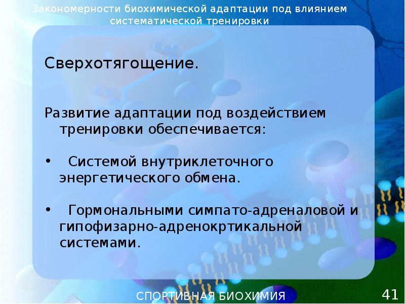 Закономерности биохимической адаптации в процессе спортивной тренировки презентация